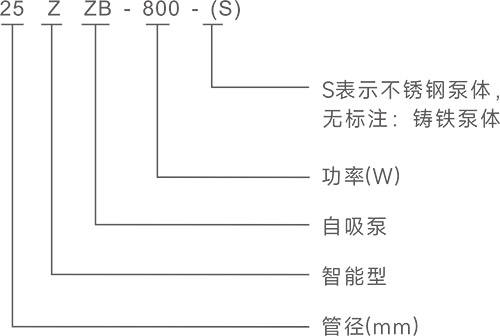 cp22-01.jpg